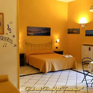 Terra Mia Naples
